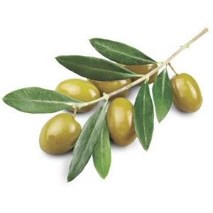 Olíva